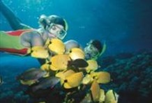 Na Pali Snorkel Expedition